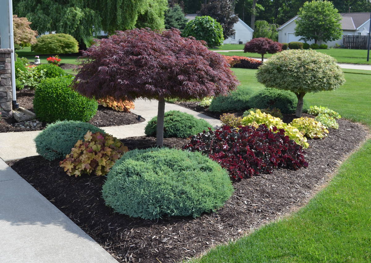 Victoria BC landscaping specialists